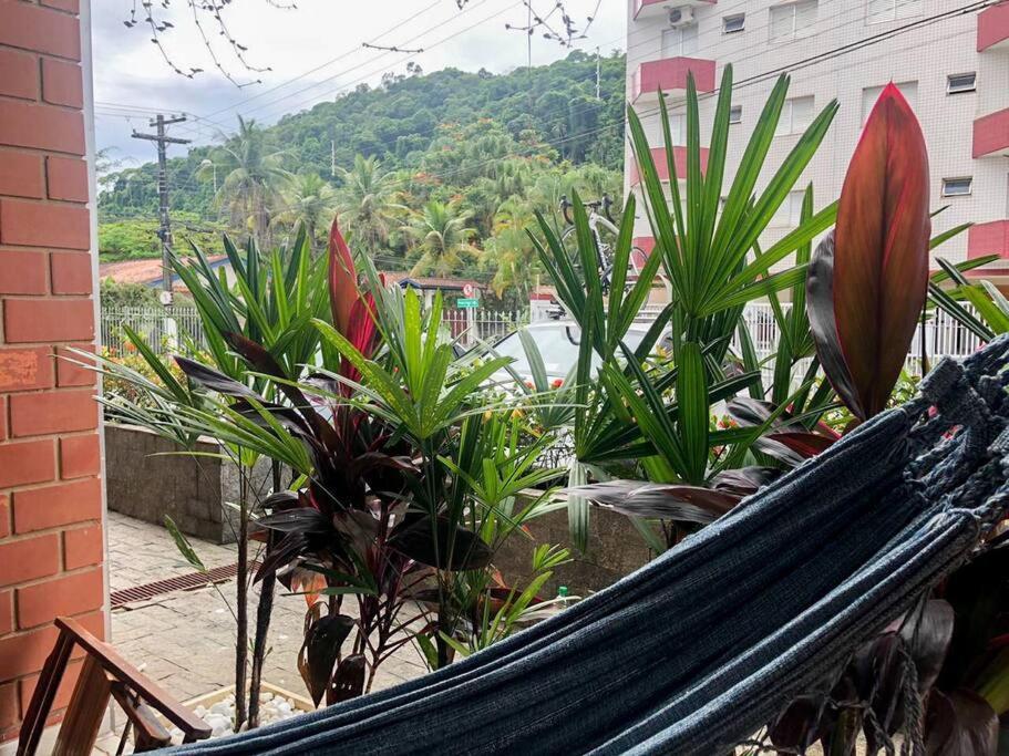 Apartamento A 230 Mts Da Praia Em Ubatuba Eksteriør billede